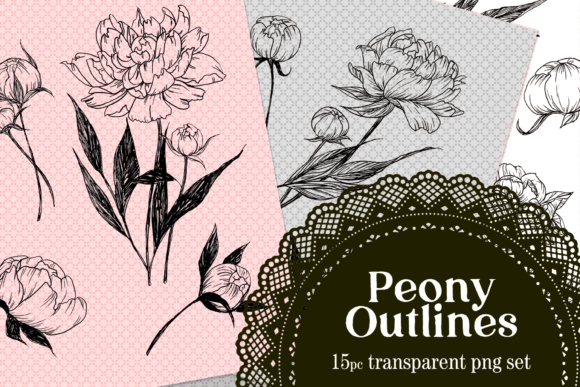 Download Peony Drawn Floral Lines PNG Set - Premium Resources